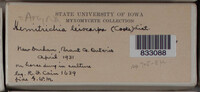 Image Associated With the Occurence